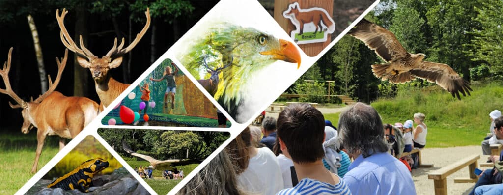 Parc animalier espace rambouillet 2025