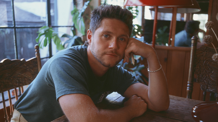 niall horan one direction accor arena dinner party live on tour